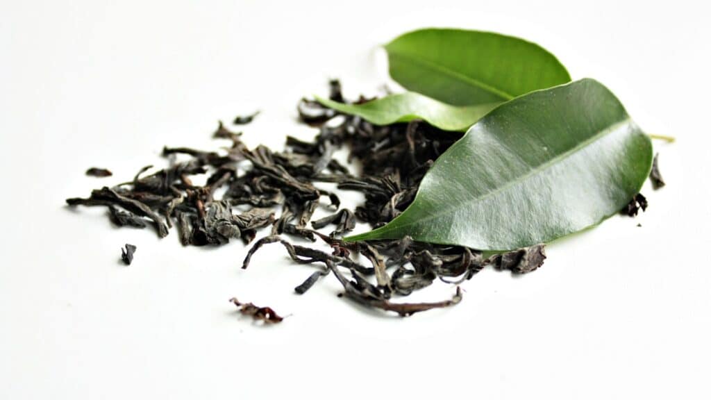 Dried and fresh green tea leaves